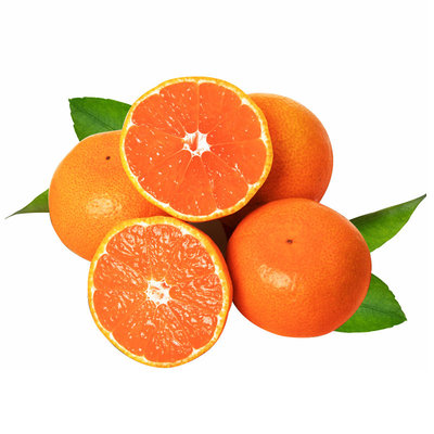 【涌泉镇农户直销】正宗涌泉蜜桔