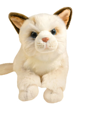 傲群猫咪毛绒玩具PP棉仿真公仔