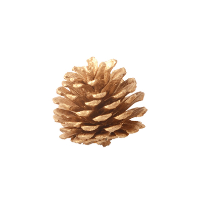 圣诞树木质金粉松果藤条花环