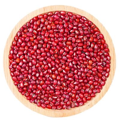 东北农家净重无干燥剂易出沙红豆