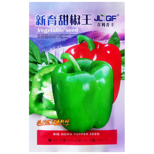大甜椒种子种籽孑青椒灯笼彩椒辣椒种植籽种南方秧苗四季盆栽蔬菜