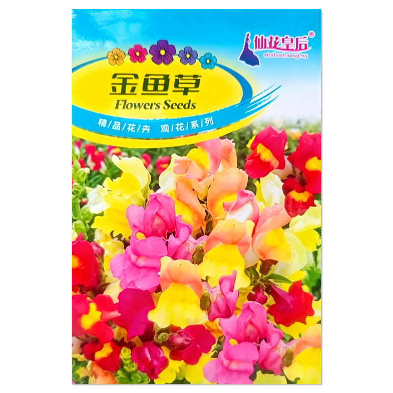 金鱼草种子盆栽花卉种子籽