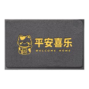 入户门地垫大门口进门丝圈脚垫门外玄关进户除尘门垫出入平安地毯