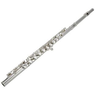 津宝长笛乐器JBFL-6248S初学者考级C调闭孔N白铜镀银16孔专业笛子