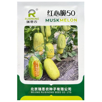 红心脆50薄皮甜瓜种子棒形黄绿皮