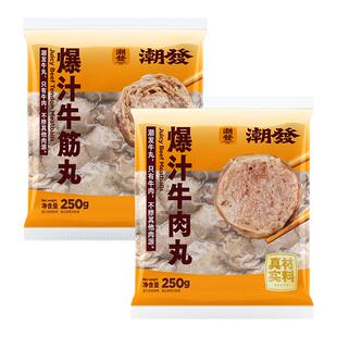 潮发潮汕牛肉丸正宗牛筋丸牛肉火锅丸子纯牛肉特产食材家庭聚餐