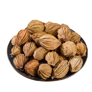 云南香砂仁川砂仁香料饭店调味炖肉卤菜火锅调料大全500克干货