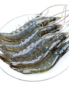 青岛大虾特大白虾冷冻鲜对虾速冻海虾鲜活基围虾海鲜水产