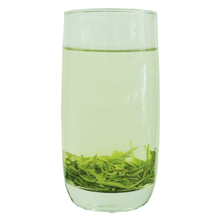 新茶明前毛峰 大凉山雷波绿茶春茶上新 早春毛尖散装250g