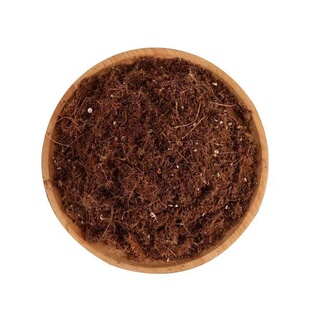 进口泥炭养花营养土盆栽花卉种植专用绿萝月季多肉通用型大包花土