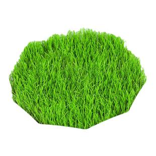 草坪种子护坡草籽绿化狗牙根高羊茅黑麦草籽百慕大四季常青草种籽