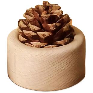 松果扩香木家用卧室扩香器风油精花露水无火香薰桌面摆件车载精油