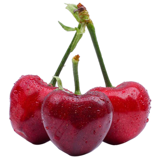 现货美早大樱桃大连国产车厘子新鲜礼盒装脆甜孕妇水果送礼应当季