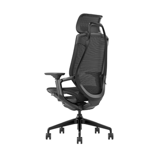 GT谷腾BIRCH 人体工学椅高端电脑椅子办公久坐电竞靠背力学座椅