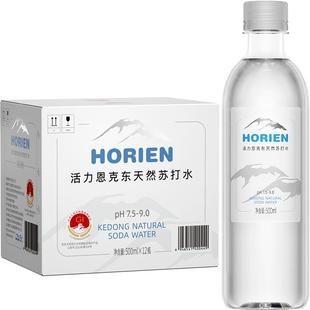 HORIEN/活力恩克东无糖无气PH8.5-9.0弱碱性天然苏打水500ML*12瓶