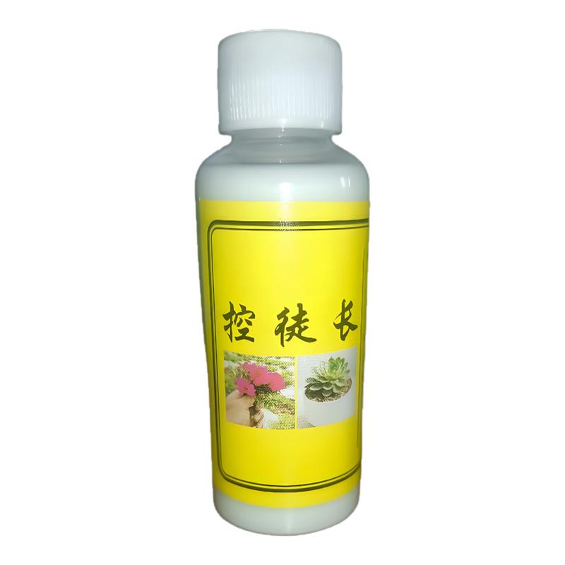 太阳花控旺矮化多肉矮胖素控型
