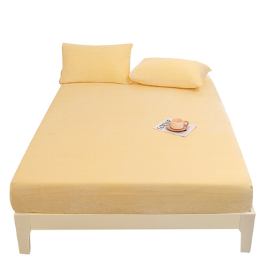 秋冬新款牛奶绒加厚舒棉绒床笠出租屋纯色床罩防滑床品三件套床单