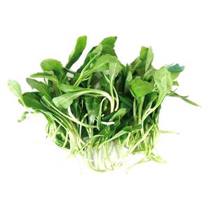 【老一生鲜】马兰头 2斤装新鲜蔬菜食用鸡儿肠崇明岛有水湿的