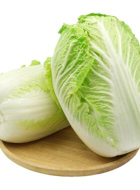 山东潍坊大白菜新鲜10斤