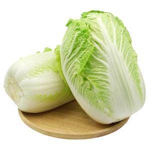 山东潍坊大白菜新鲜10斤包邮鲜嫩蔬菜农家自种黄心包心菜整颗白菜