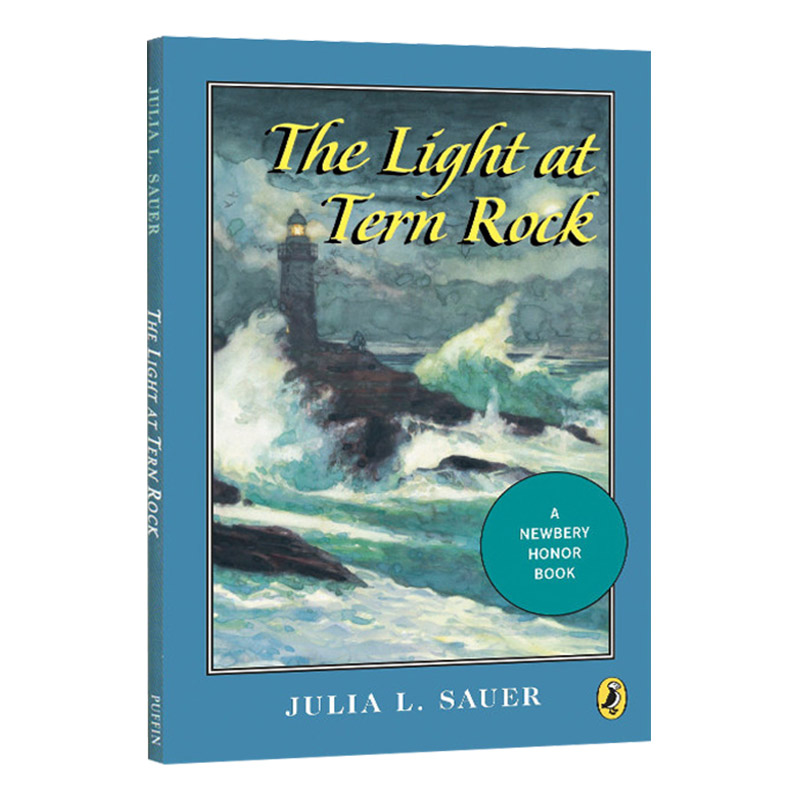 有光的房子 英文原版 The Light at Tern Rock 纽伯瑞银奖 儿童文学小说 青少年英文课外读物 英文版 进口英语书籍