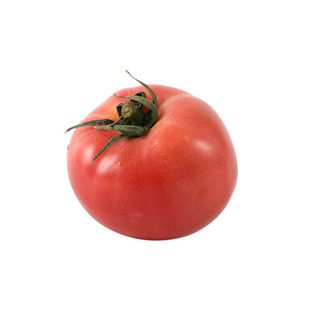 普罗旺斯番茄种子苗大粉果水果西红柿秧苗种籽春季四季蔬菜孑菜苗