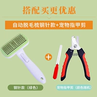 Один щелчок в стиле иглы для снятия волос [зеленый]+галстук для ногтей для питомца (случайный цвет)