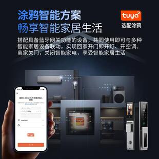 户外防水智能门锁庭院门别墅对开门人脸识别防盗门指纹密码锁涂鸦