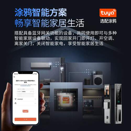户外防水智能门锁庭院门别墅对开门人脸识别防盗门指纹密码锁涂鸦