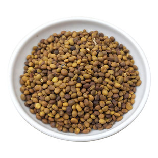 新疆苦豆子中药材 苦豆子 苦马豆 羊尿泡 马皮泡 新货500克g包邮