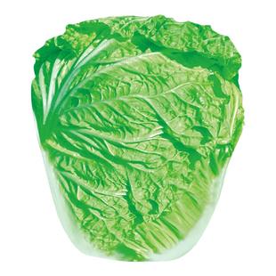 夏秋王大白菜种子种籽孑子黄心耐热夏阳秋季籽种山东胶州白莱大全