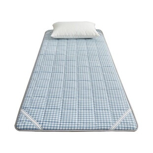 凉席冰丝席天然藤席夏天草席子纯棉双面冬夏两用夏季床垫子家用a