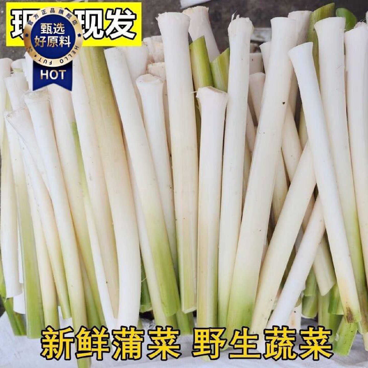 新鲜蒲菜野菜交白蒲草芯蒲笋蒲儿菜去老皮2斤4斤8斤农产品湖北产