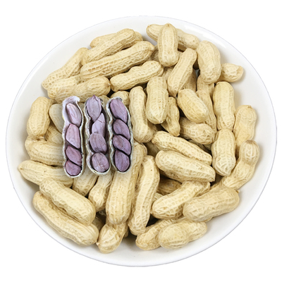 红衣花生龙岩连城文亨水煮干湿