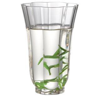 绿茶专用玻璃杯2025新款水杯女高颜值花瓣杯子喝水家用泡茶杯耐热