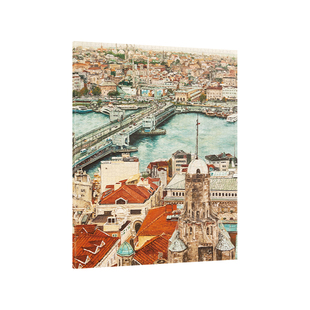 3D-JP城市建筑无框拼图2176片客厅装饰画 程靖博斯普鲁斯HN1418