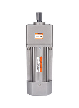 陆连250W370W齿轮减速电机低噪音