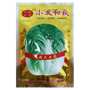 小义和秋精品大白菜种子蔬菜籽北方秋季冬储胶州菜籽冬秋种孑