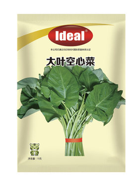 老品种小叶空心菜种子