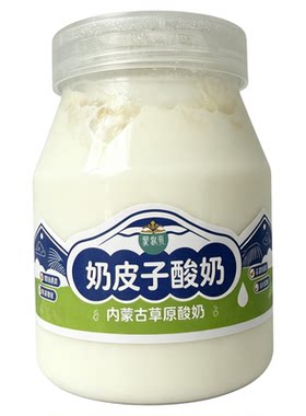四海风物内蒙厚乳奶皮子酸奶3.0