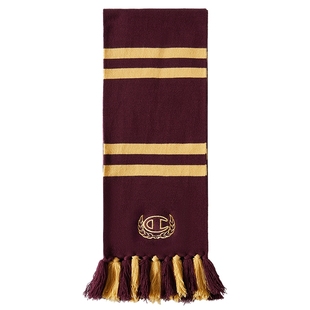 丁禹兮同款哈利波特联名Champion冠军围巾25秋冬新款女红色围脖男