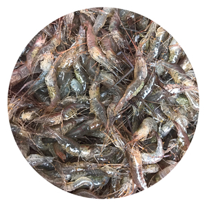 河虾鲜活新鲜冷冻海鲜水产狗仔虾仁青虾小土虾每份500g淡水小河虾