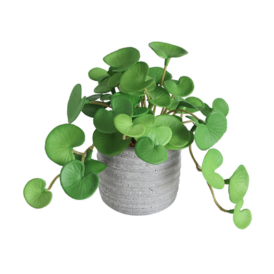 高级感逼真森系仿真绿植小盆栽