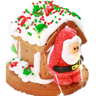 圣诞节姜饼屋饼干diy小房子网红零食小吃幼儿园活动大礼包成品包
