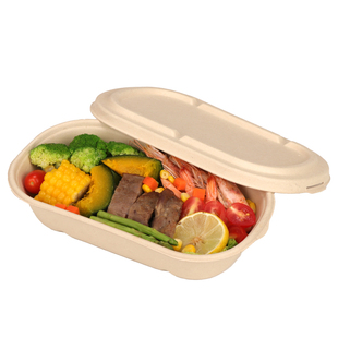 环保分格饭盒一次性纸浆餐盒外卖便当盒水果沙拉轻食减脂餐打包盒