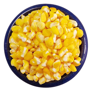 山西忻州特产黄糯玉米大碴子黏细玉米渣玉米糁粘玉米碎玉米粒茬粥