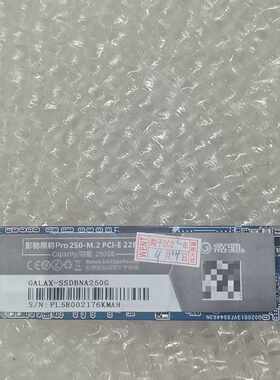 影驰黑将Pro 250G M.2 NVMe固态硬盘 PCIe