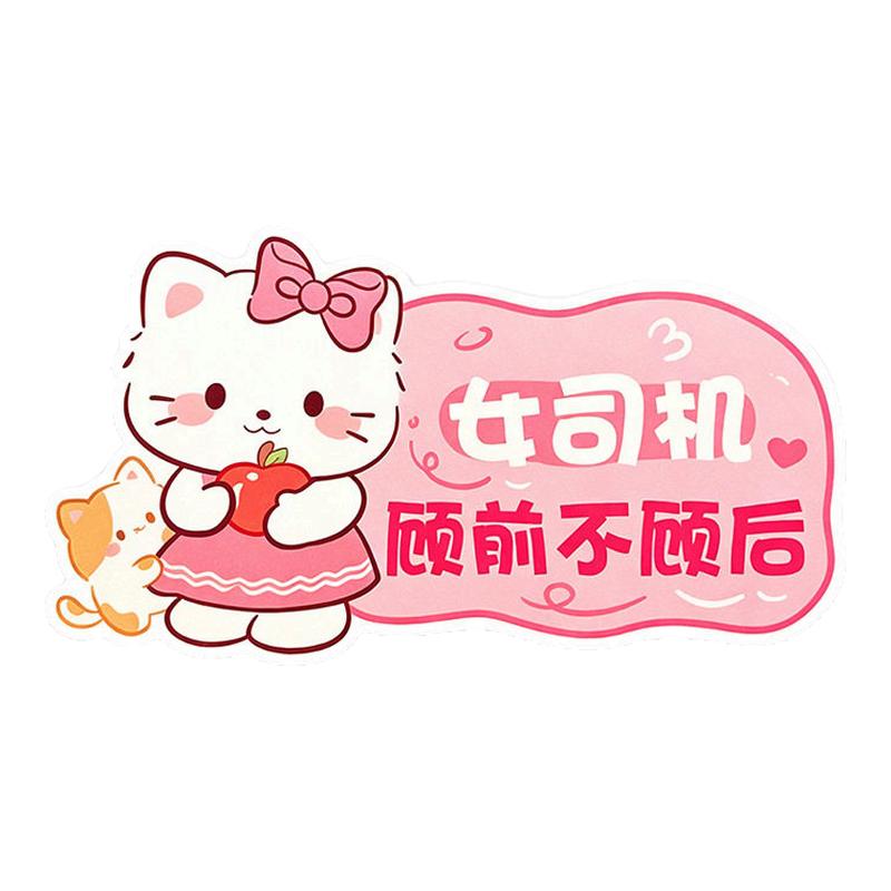 新手女司机磁吸反光实习车贴
