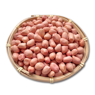 新货生花生米新鲜特级大粒生花生2025年新采摘自然晾晒白沙花生米