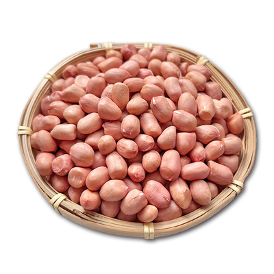 新货生花生米新鲜特级大粒生花生2025年新采摘自然晾晒白沙花生米